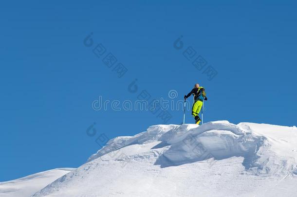 攀登和山滑雪板和密封皮向一背脊