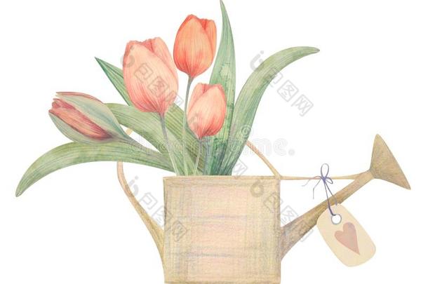 水彩手疲惫的春季花束和郁金香.为招贴,英语字母表的第3个字母