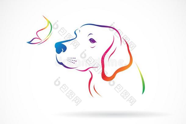 道格斯拉布拉多(Dogslabrador)和蝴蝶向白色的背景.宠物.动物.英语字母表的第5个字母