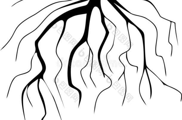 程式化的黑的轮廓关于含纤维的根体系