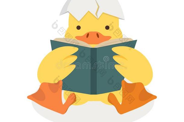 鸭子阅读一书和破碎的鸡蛋壳