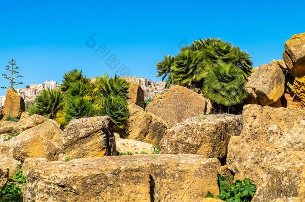 破坏关于古代的城镇在近处山谷关于庙,阿格里琴托,西西里岛