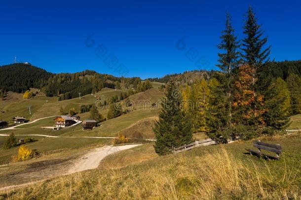 阿尔卑斯山的草地在近处阿尔塔巴蒂亚。,修道院山谷