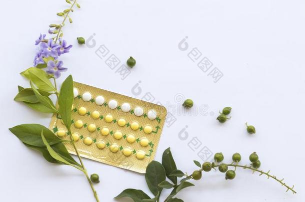 出生控制药丸口头的避孕药为女人