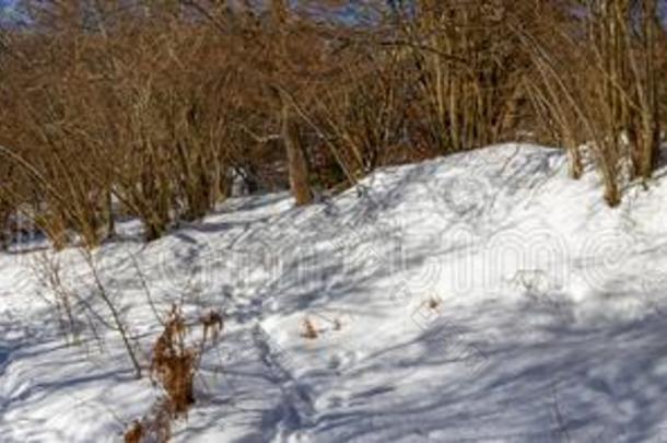 全景的射手关于指已提到的人运动下雪的采用奥弗涅由北至南穿越这一地区。奥弗涅于1615年成为法国皇家领地的一部分）.