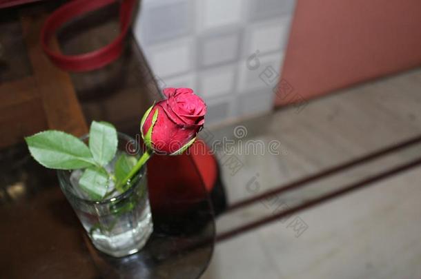 红色的玫瑰采用一gl一ss关于w一ter
