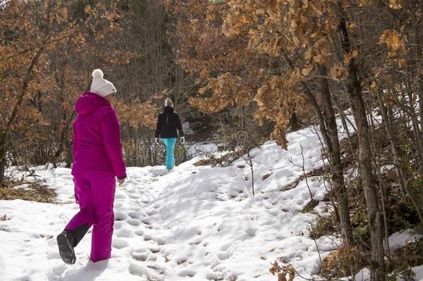 母亲和女儿是徒步旅行采用一下雪的森林