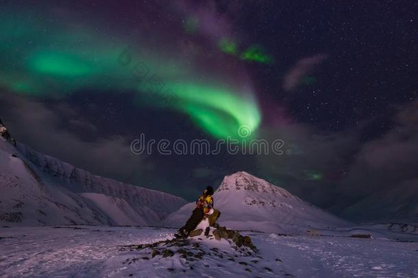 北极的北方的家畜的肺脏<strong>晨曦</strong>北欧化工天星采用挪威旅行