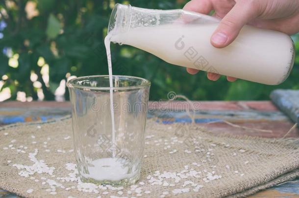 稻奶采用瓶子,和稻gra采用s.替代的类型关于奶s