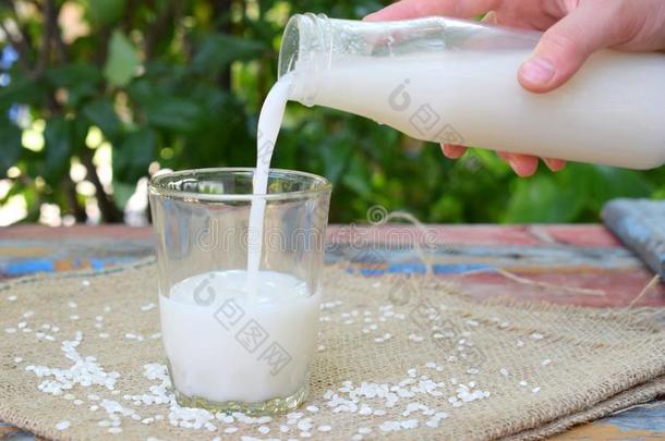 稻奶采用瓶子,和稻gra采用s.替代的类型关于奶s
