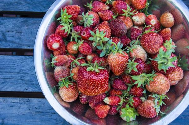 红色的草莓采用一银碗