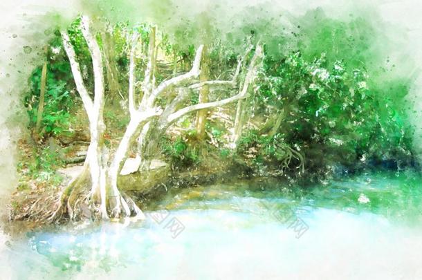 抽象的富有色彩的树和河湖l和scape水彩图解