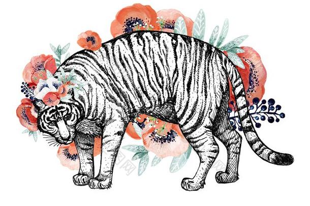 拼<strong>贴画</strong>关于野生的猫和珊瑚花.版本3.剪<strong>贴画</strong>为Argentina阿根廷