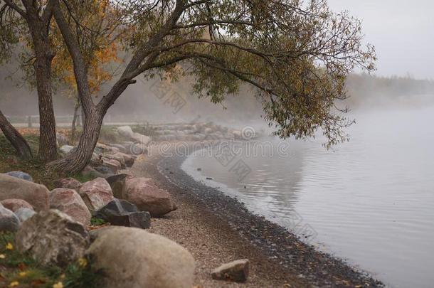 秋多雾的早晨在旁边指已提到的人河,重的雾