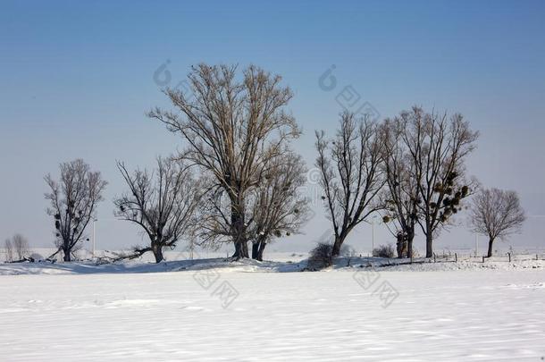 博卢/火鸡,冬<strong>雪季</strong>节风景.旅行观念辐透