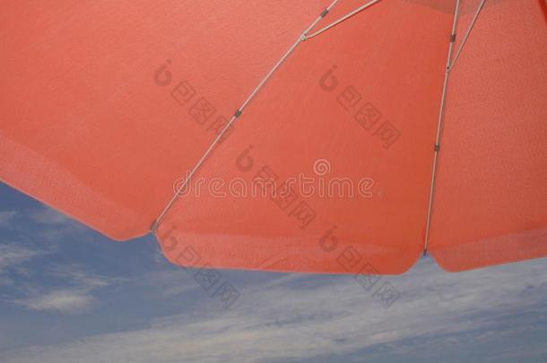 太阳伞红色的棘云实红木海滩天瓜鲁贾Sao保罗圣保罗保罗巴西苏木