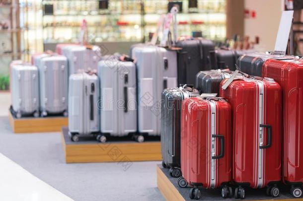 行李由组成关于大大地手提箱帆布背包和旅行袋