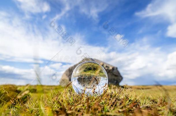 玻璃球向草和reflecti向