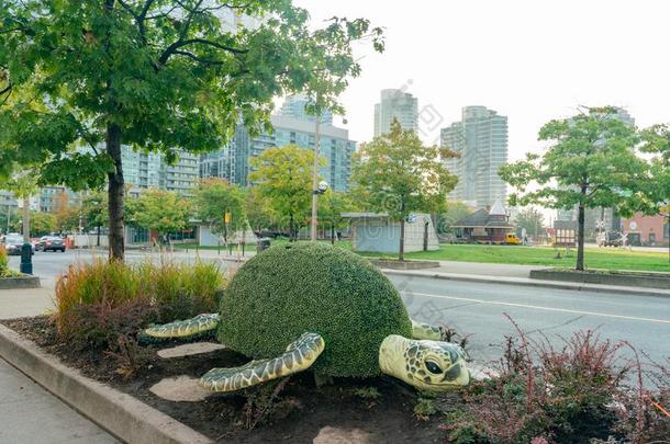 龟形状灌木园艺采用在商业区