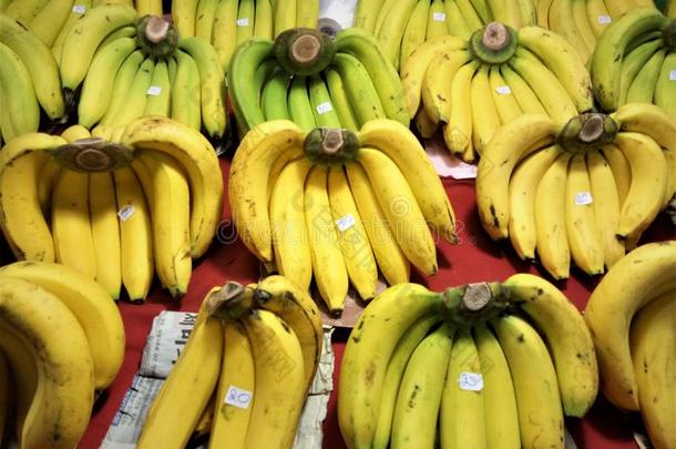 黄色的,<strong>辉煌</strong>的香蕉,促进食欲的,卖采用指已提到的人交易.向一