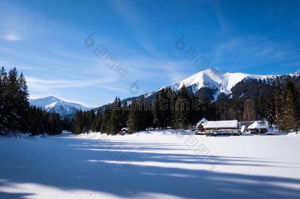 雪大量的冷冻的湖韦伯在近处Pfahlbaudorf采用假日