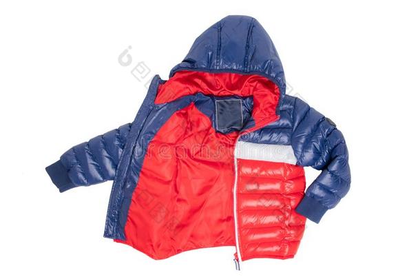 冬短上衣隔离的.一时髦的蓝色和红色的暖和的下短上衣