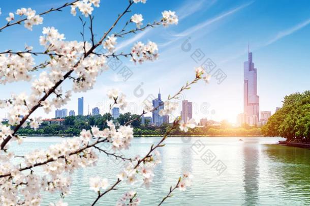 南京宣武湖城市看法