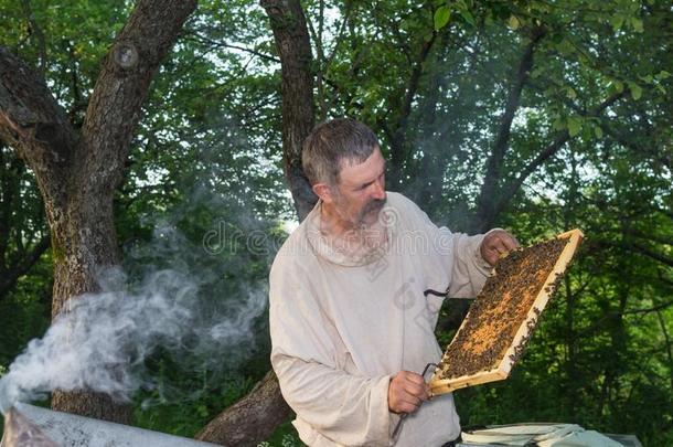 肖像关于乌克兰人农民困难的工作的采用自己的事物蜜蜂院子