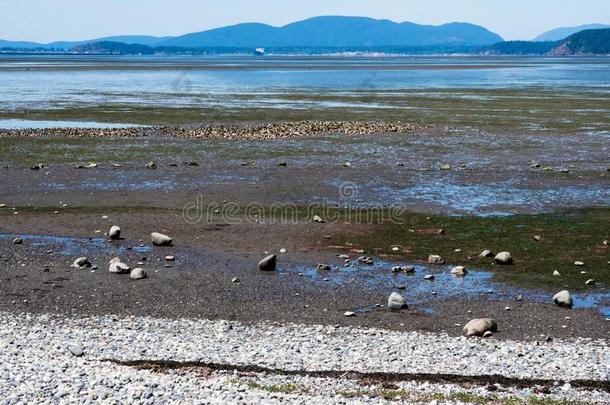 低的潮汐临海的风景在湾看法St在e公园,warmair热空气,美利坚合众国