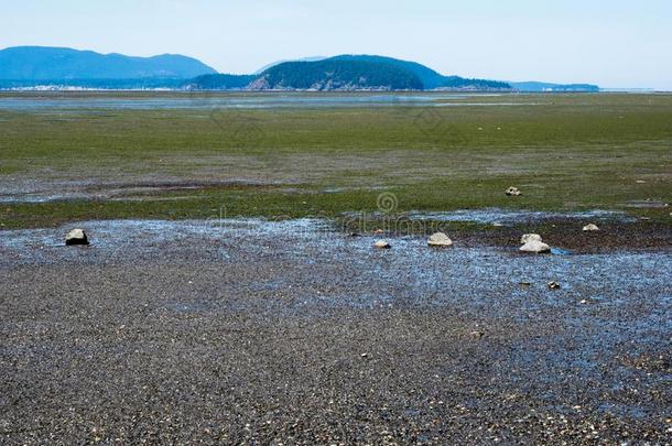 低的潮汐临海的风景在湾看法St在e公园,warmair热空气,美利坚合众国