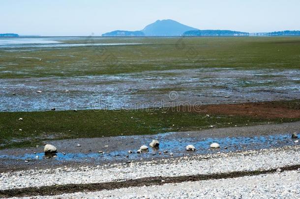 低的潮汐临海的风景在湾看法St在e公园,warmair热空气,美利坚合众国