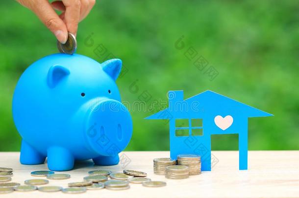 财政,蓝色<strong>房屋模型</strong>和食物关于coinsurance联合保险钱和蓝色小猪