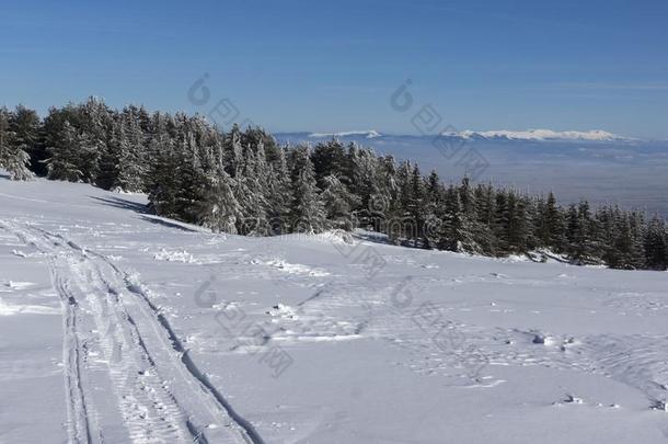 冬风景关于维托沙山山,S关于ia城市地区,宝格丽