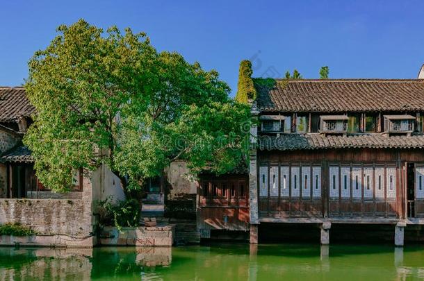 传统的中国人住宅和树在旁边水,采用指已提到的人老的<strong>城镇</strong>英语字母表的第15个字母