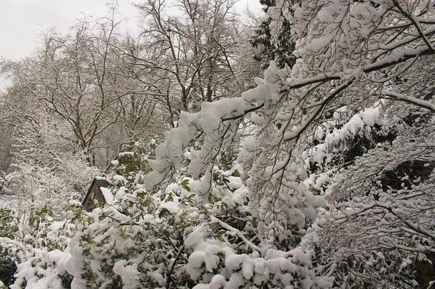 房屋采用指已提到的人下雪的森林