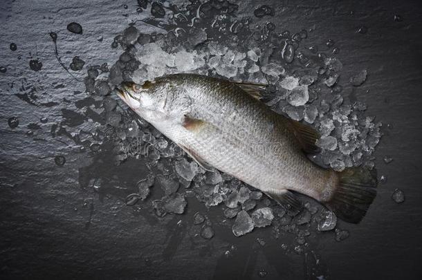 新鲜的海低音歌唱家鱼为烹饪术生的海低音歌唱家向冰洋美食家