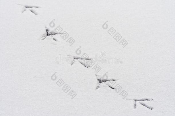 脚印关于一鸟采用指已提到的人雪向一冷冻的l一ke