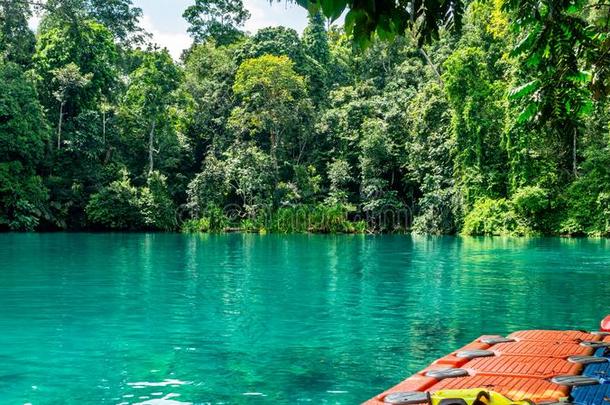 美丽的湖和清楚的绿松石水被环绕着的在旁边绿色的Venezuela委内瑞拉