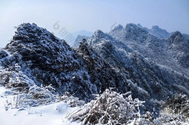 武当山后的指已提到的人雪