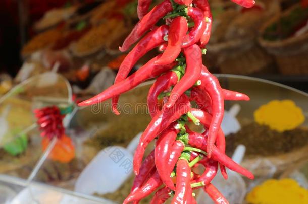 许多辛辣的红色的辣椒为卖采用指已提到的人交易货摊