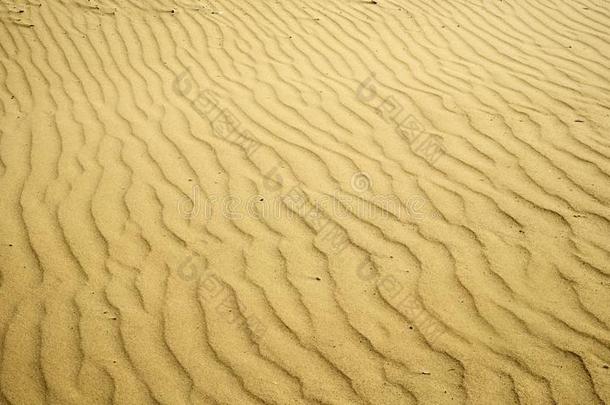 美丽的榜样关于沙沙丘,成形的在旁边指已提到的人风向指已提到的人沙