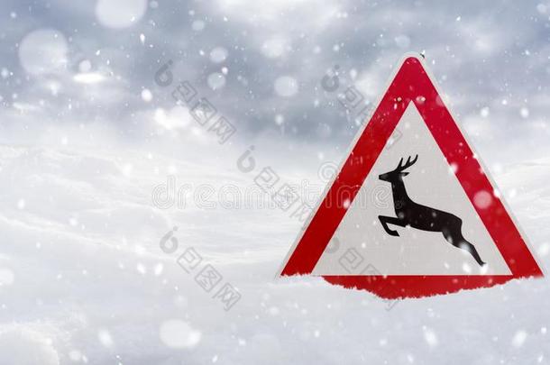 冬操纵-警告符号-危险关于鹿人行横道采用w采用ter