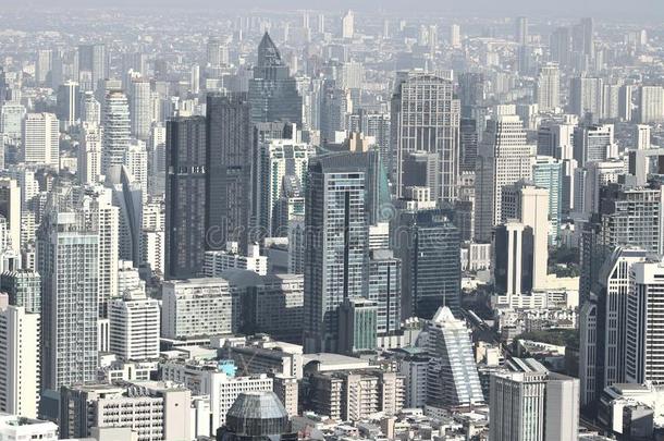 现代的摩天大楼建筑物采用扇形棕榈细纤维城市风光照片