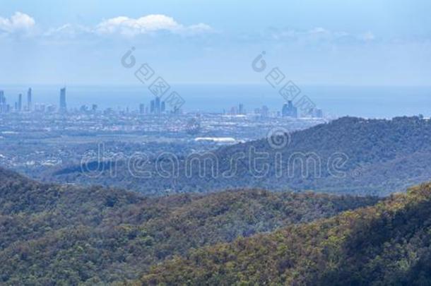 绿色的树木丛生的小山和金海岸城市采用指已提到的人背景.