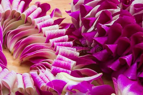 紫色的从落下白色的兰花花圆形的花形状