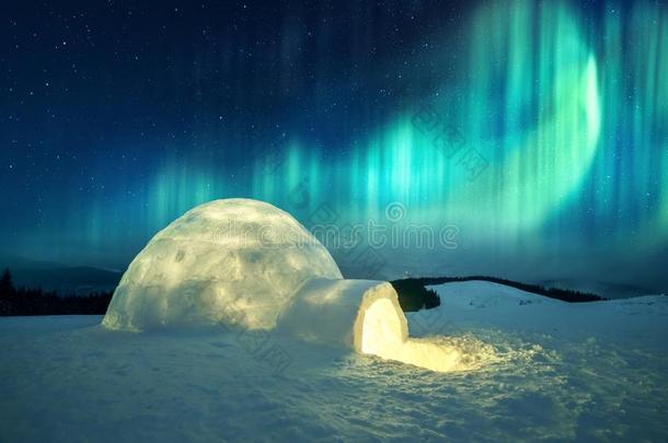 冬天的地点和灼热的极地的家畜的肺脏和下雪的雪块砌成的圆顶小屋
