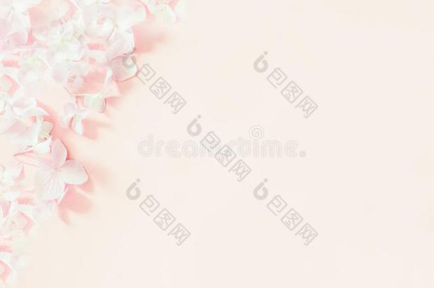 植物学的横幅和软的粉红色的丁香花属花.浪漫的<strong>设计英语</strong>字母表的第6个字母
