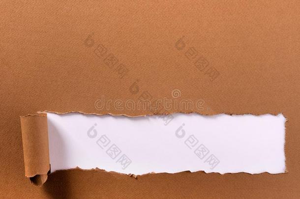 撕棕色的纸长的包金箔的底部边大字标题框架白色的波黑