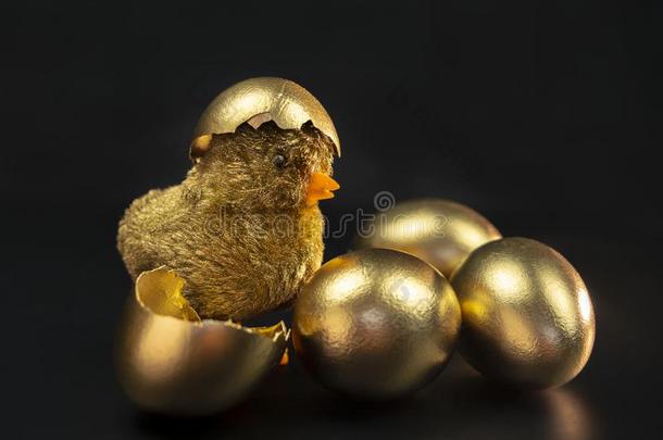 金色的卵,金色的卵,金色的鸡孵化从一金色的英语字母表的第5个字母
