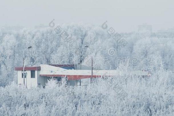 美丽的越过下雪的严寒的风景采用指已提到的人俄罗斯帝国.指已提到的人汽车裁判员